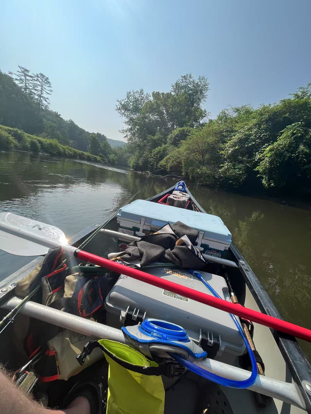 A Journey Through Ozark Wilderness