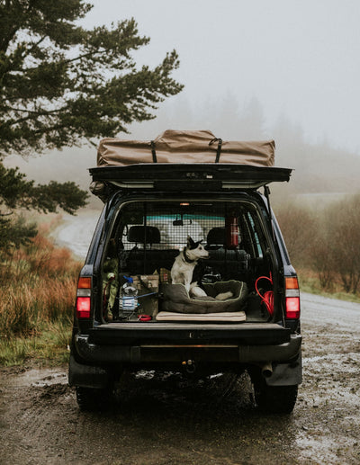 Weekend Overland Adventure in the Blue Ridge Mountains