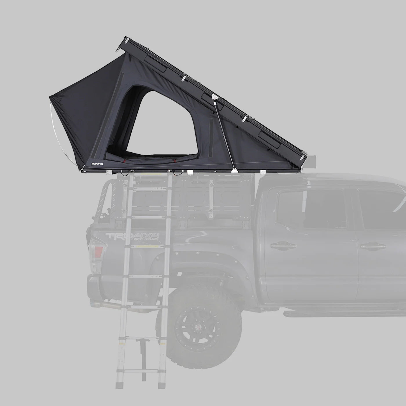 Scout 1