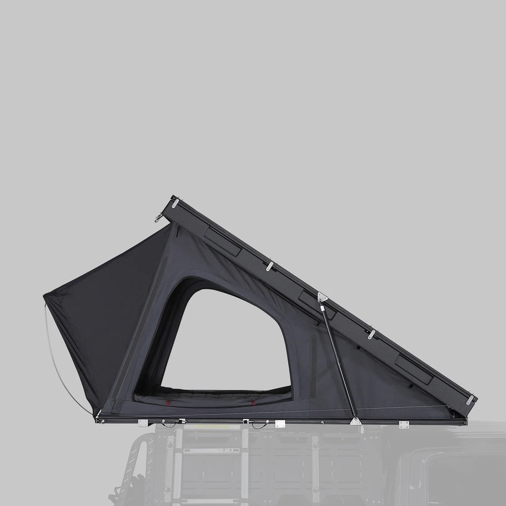 Scout 1